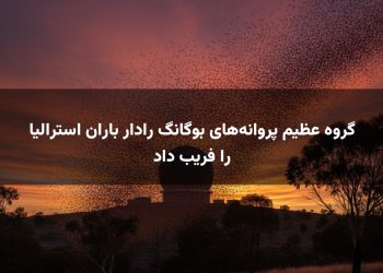 گروه عظیم پروانه‌های بوگانگ رادار باران استرالیا را فریب داد